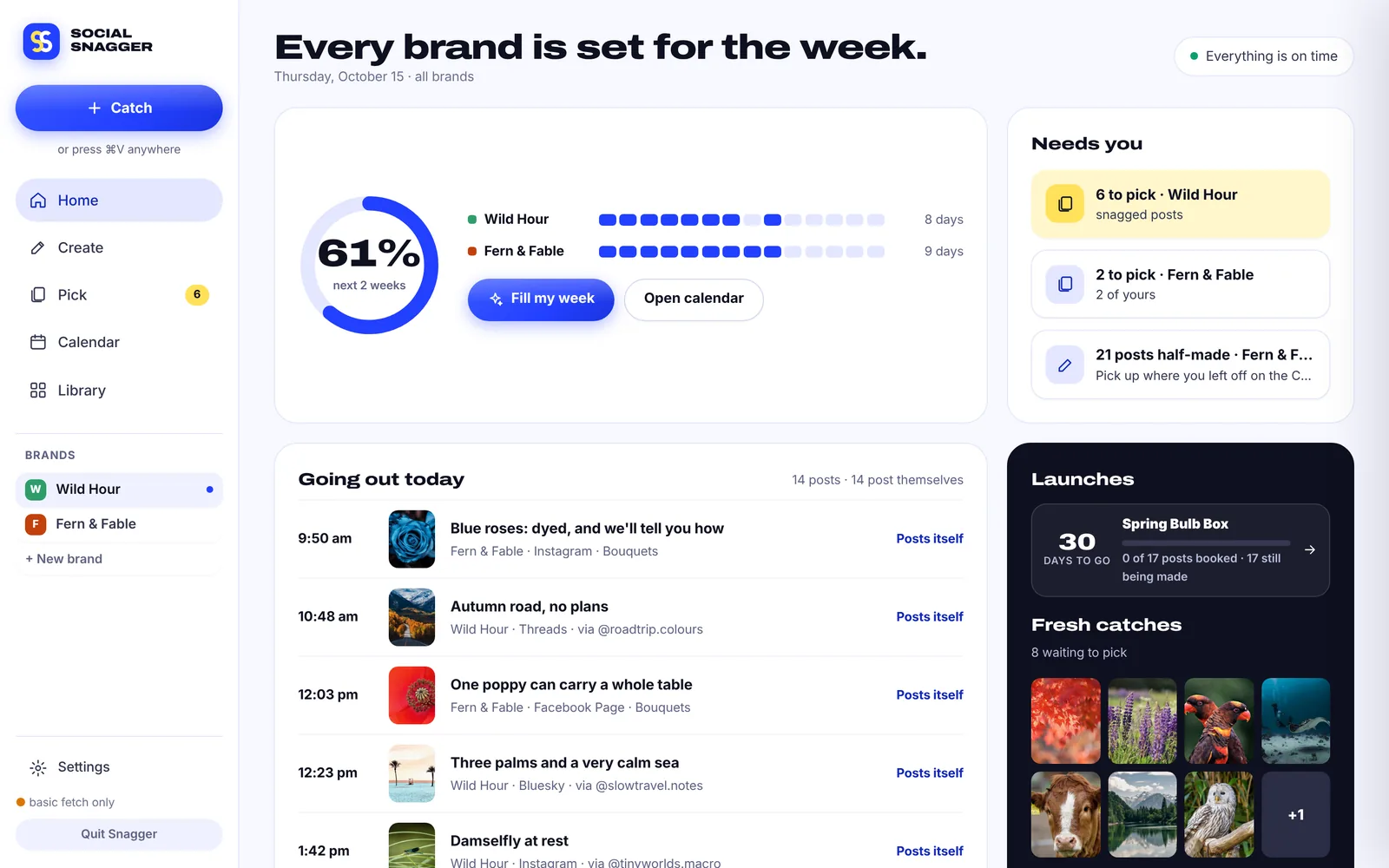 Social Snagger’s Home screen: two brands booked for the week, what goes out today, a launch countdown and fresh catches